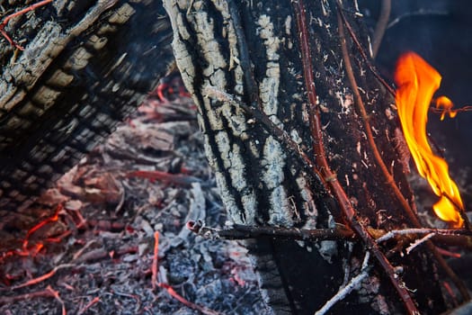 Image of Close up of dry twigs slowly burning against ashen log in pit with red embers