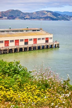 Image of Wildflowers on shore with view of warehouse pier on San Francisco Bay