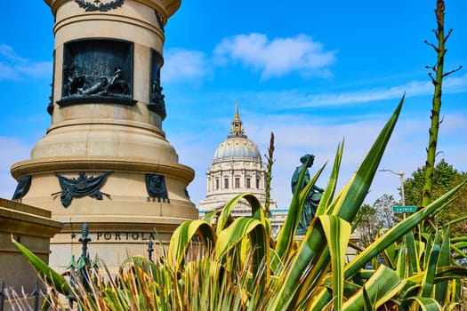 Image of Plants below Pioneer Monument with distant city hall on blue sky day with soft purple clouds