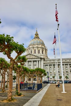 Image of San Francisco city hall with trees and dog walker next to Betsy Ross flag pole