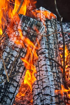 Image of Background asset two ashen logs burning with orange and yellow flames