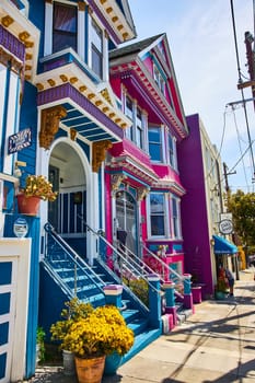 Image of Front of brilliantly bright blue and maroon or hot pink houses on sunny day