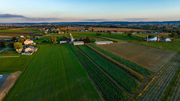 An expansive rural landscape showcases lush green fields lined with crops, while quaint houses dot the horizon at sunset, providing a picturesque view of agricultural life.