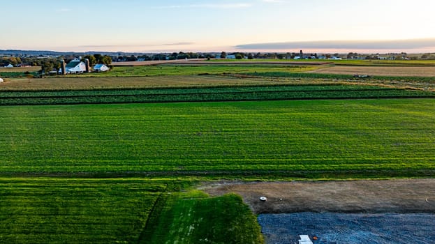 Lush green fields stretch across the landscape as the sun sets, casting a warm glow over distant houses and the serene rural area, inviting a sense of peace and tranquility.