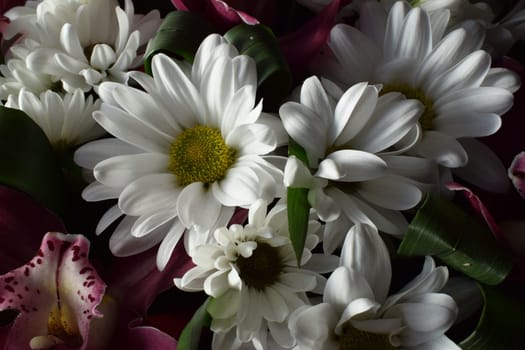 Selective focus of beautiful bouquet of chrysanthemum orchid flowers in pink color. Floral shop concept. Handsome fresh bouquet. Group of purple vanda orchid and white Chrysanthemums