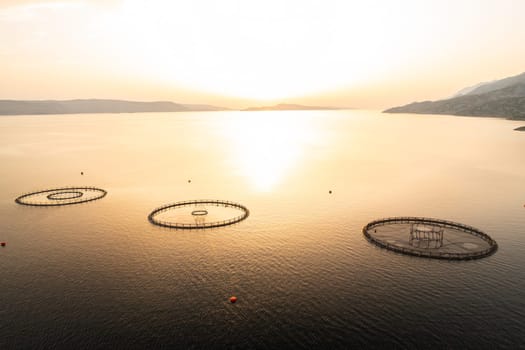 Sunset view of a fish farm with circular nets in calm waters at the coastline.
