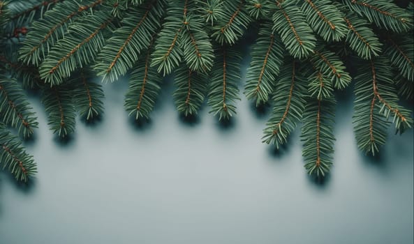 Pine branches drape over a light blue surface. The branches are green and have a lot of needles. They create a natural frame.