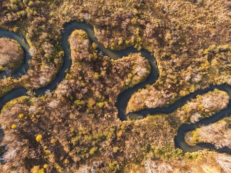 Aerial drone view of autumn landscape with river.