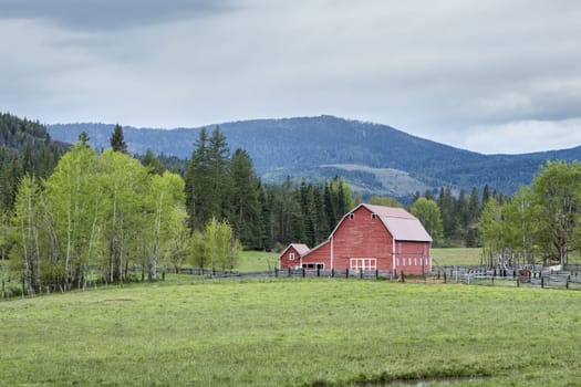 An old red barn in a green pasture in north Idaho.