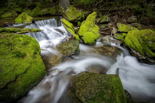 Small river cascade and mossy green rocks in the mountains of north Idaho.