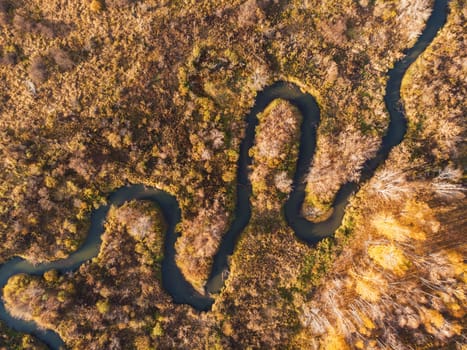 Aerial drone view of autumn landscape with river.