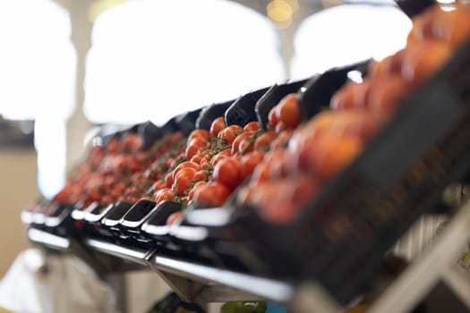 Plastic containers with tomatoes on the market. Mid shot