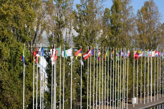Flags of different countries on the background of trees. Mid shot
