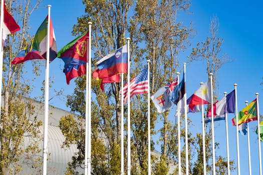 Flags of countries on the background of trees. Mid shot