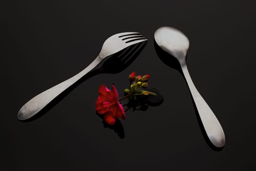 A fine art concept photo of a shork and a spoon with a small geranium flower between them.