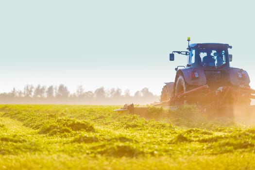 hay making for animals, harvesting green grass for feed with a tractor, agribusiness concept, animal feed