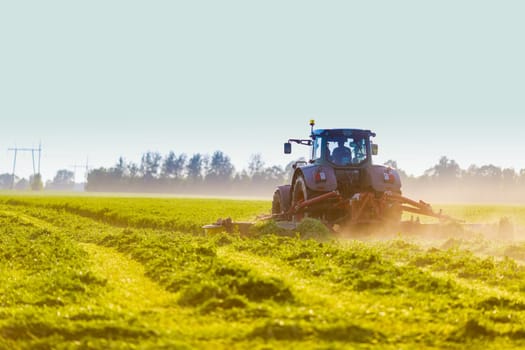 hay making for animals, harvesting green grass for feed with a tractor, agribusiness concept, animal feed