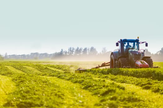 hay making for animals, harvesting green grass for feed with a tractor, agribusiness concept, animal feed
