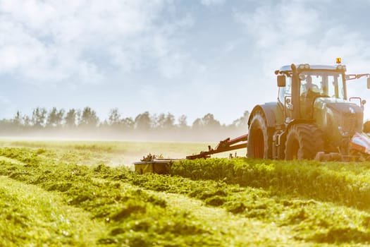 hay making for animals, harvesting green grass for feed with a tractor, agribusiness concept, animal feed