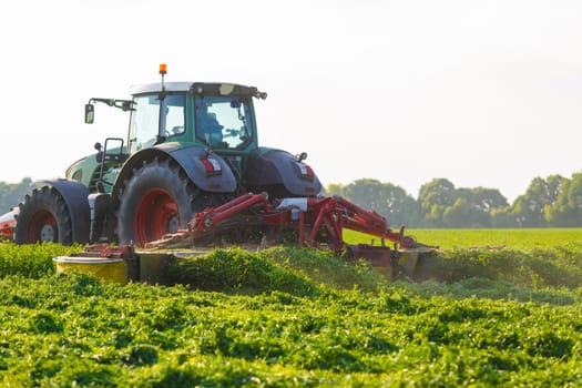 tractor harvesting hay for animals against the background of a field in the warm rays of the sun, agribusiness concept