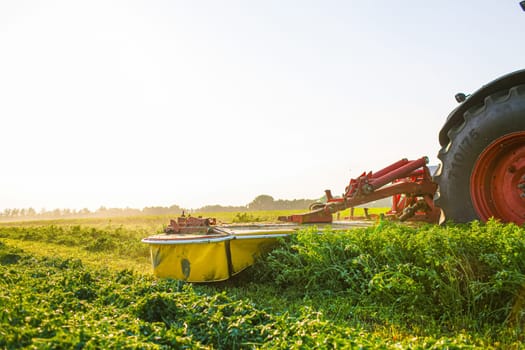 hay making for animals, harvesting green grass for feed with a tractor, agribusiness concept, animal feed