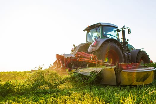 hay making for animals, harvesting green grass for feed with a tractor, agribusiness concept, animal feed