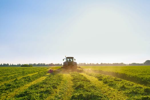 hay making for animals, harvesting green grass for feed with a tractor, agribusiness concept, animal feed