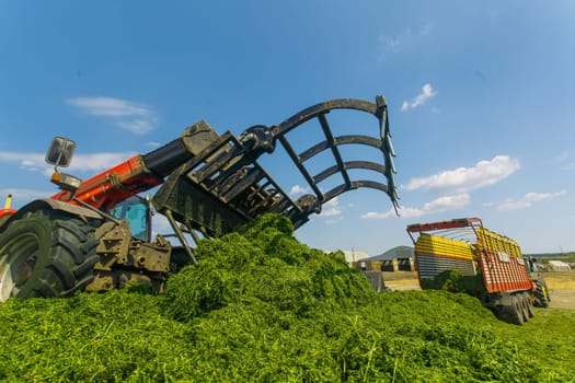 tractor harvesting hay for animals, tractor harvesting green grass for feed, agribusiness concept, animal feed