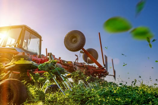tractor harvesting hay for animals against the background of a field in the warm rays of the sun, agribusiness concept