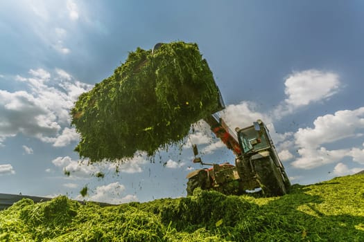 tractor harvesting hay for animals, tractor harvesting green grass for feed, agribusiness concept, animal feed