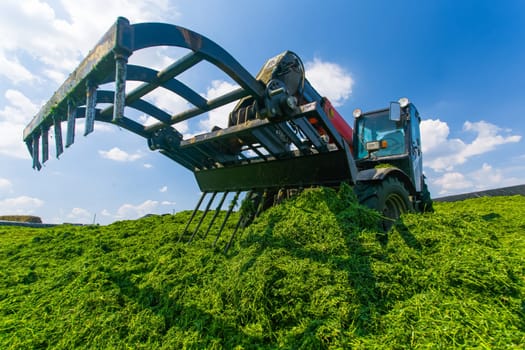 tractor harvesting hay for animals, tractor harvesting green grass for feed, agribusiness concept, animal feed
