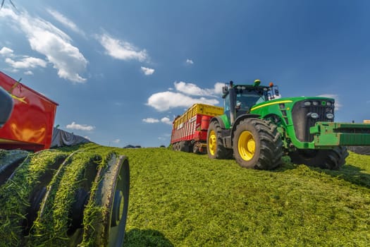tractor harvesting hay for animals, tractor harvesting green grass for feed, agribusiness concept, animal feed