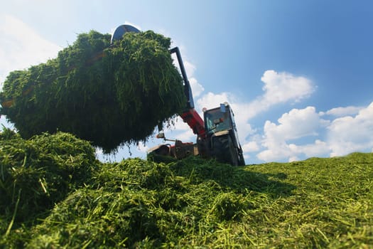 tractor harvesting hay for animals, tractor harvesting green grass for feed, agribusiness concept, animal feed