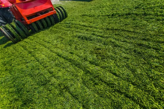 tractor harvesting hay for animals, tractor harvesting green grass for feed, agribusiness concept, animal feed