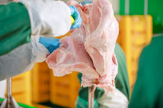 turkey production process, turkey poultry farm, worker cuts poultry meat