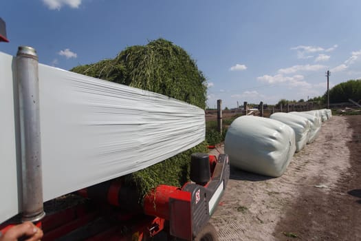 tractor makes harvesting hay for animals on a farm, haymaking