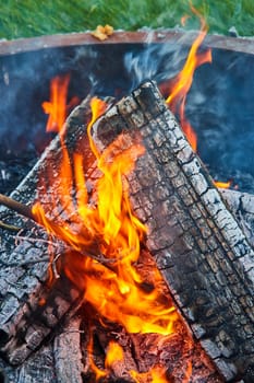 Image of Flames eating away at two logs covered in white ashes