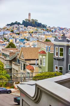 Image of Houses and apartments leading to distant Coit Tower on overcast day