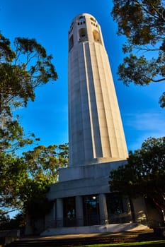 Image of Entrance to Coit Tower with trees beside it and blue sky background