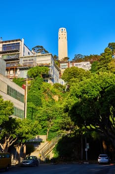 Image of Coit Tower from bottom of hill with steps surrounded by trees leading upward