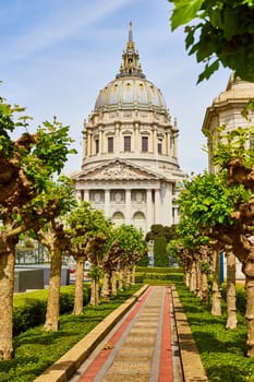 Image of Pathway through trees in city hall memorial court in San Francisco