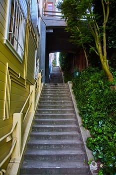 Image of Stairs leading up dark passage between a building and nature