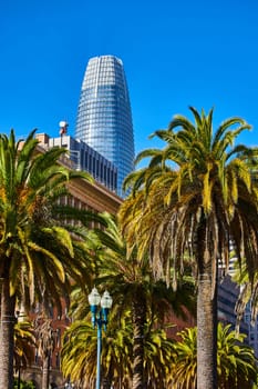 Image of Palm trees and lamp post reach skyward toward lone skyscraper on clear blue sky day