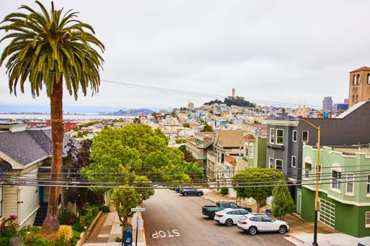 Image of Overcast day with colorful houses and telephone wires across street with distant Coit Tower