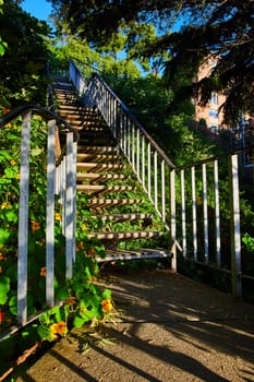 Image of Stairs with nature popping through leading up nature covered area on sunny day