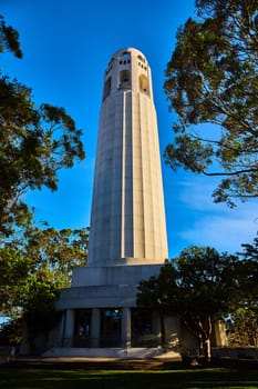 Image of Coit Tower entrance with trees around it and blue sky in background