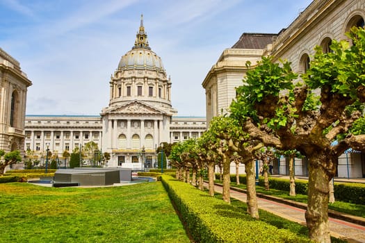 Image of Sunny summer day with trees lining pathway in memorial court leading to city hall