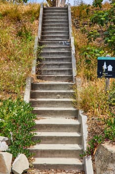 Image of Hill covered in weeds and succulents with stairs going up in the middle and a sign post