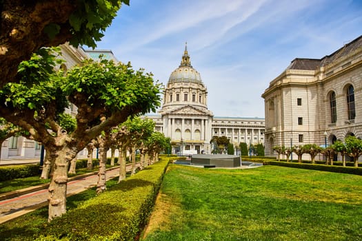 Image of Pathway through trees in memorial court with city hall in background