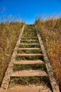 Image of Overgrown wooden stairs going up tall yellow grass hill with bright blue sky